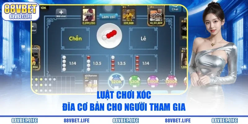 Luật chơi xóc đĩa cơ bản cho người tham gia