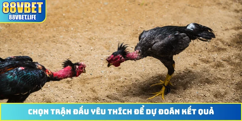 Chọn trận đấu yêu thích để dự đoán kết quả